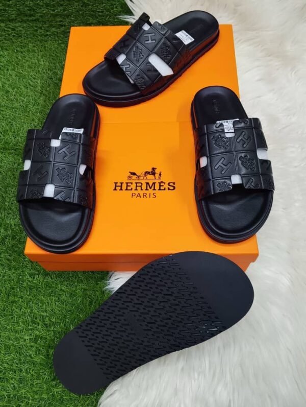 Casual Luxe Palms